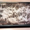 henrieta's cooksnap of when they made Pumpkin Swirl Brownies.