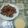 Cooksnap dari Deas Kitchen untuk resep Ayam pedas ala recheese factory