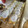 El cooksnap de Irene-Guirao cuando hizo Galletas de almendra y vainilla.