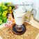 Cooksnap dari Lanjarsih/Mama Fifian ( MasakanRumahan) untuk resep Susu Kedelai Homemade