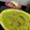 El cooksnap de Teresita Noguera cuando hizo Guacamole 🥑 Salsa de aguacate para tacos y más.