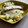 El cooksnap de Carol Salamero cuando hizo Merluza (o cualquier pescado sin espinas) al papillote.