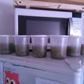 El cooksnap de María Luján cuando hizo Sopa de verduras.