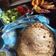 El cooksnap de luciapereyra90 cuando hizo Tortillas de harina(masa para tacos o burritos).