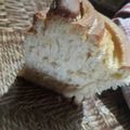 El cooksnap de yliana cuando hizo Torta hungara😋.
