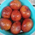 Cooksnap dari Salma Hermawati untuk resep Telur pindang