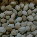 Cooksnap dari widinaya untuk resep Kacang Telur