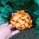 Parul Patel's cooksnap of when they made તીખા શક્કરપારા (Tikha Shakkarpara Recipe In Gujarati).