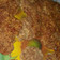 El cooksnap de Valeria Caceres cuando hizo Hamburguesas caseras.