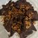 Cooksnap dari Winda Agustina untuk resep Daging Gepuk Gurih Manis (Empal Empuk)