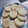 El cooksnap de Mica González🥰 cuando hizo Galletitas integrales de avena.