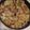 toastieq's cooksnap of when they made fried cabbage.