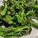 媽編 的 清炒青花筍 cooksnap