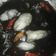 Cooksnap dari Triindahretno Widayati untuk resep 10. Cumi Bumbu Hitam