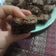 El cooksnap de Sebastián Santos cuando hizo Brownie chocolate y naranja.