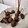El cooksnap de Paco Gonzalez cuando hizo Bombones de roquefort y queso de cabra con chocolate.