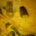 Cooksnap dari Intan Keumala Sari untuk resep Udang pelemak khas aceh.