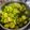 Urmila Agarwal's cooksnap of when they made तोरई (torai recipe in Hindi).