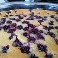 Gina's cooksnap of when they made Wild blackberry cobbler.