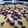 Gina's cooksnap of when they made Wild blackberry cobbler.