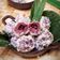 Cooksnap dari Fey_Pawonmungil untuk resep Klepon Ubi Ungu (Simple tepung terigu & tapioka, takaran sendok)