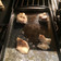 DeannasMommy2012's cooksnap of when they made Buttered Garlic Cod Filets.