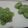 Cooksnap dari Dewi Beautycare untuk resep Puding Lumut versi full lumut