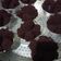 Cooksnap dari Zusie Zie untuk resep Bolu kukus coklat, moist, lembut (tanpa telur, tanpa mixer)