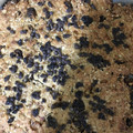 El cooksnap de marielaibarra_carp cuando hizo Brownie de avena fácil y saludable.