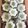 Cooksnap dari Ellis Lesmini untuk resep Kue putu ayu