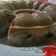 Cooksnap dari Nurulasriyanti untuk resep Puding oreo milo, rasanya yummy banget 🍮