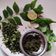 Jayshree Chauhan's cooksnap of when they made ગ્રીન ચટણી (Green Chutney Recipe In Gujarati).