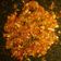 Cooksnap dari Neng Uwi untuk resep Sambel Bawang
