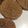 El cooksnap de Fer Vilar cuando hizo Galletas de avena y chocolate.