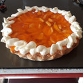 El cooksnap de Alejandra Vides cuando hizo Masa para tartas dulces 💕.