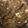 Pooja Singh's cooksnap of when they made Atte ka halwa.