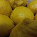 Cooksnap dari Mrs Awan untuk resep Bakpao labu kuning