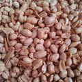 Cooksnap dari maesa pantoro untuk resep 210. Kacang Bawang