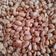 Cooksnap dari maesa pantoro untuk resep 210. Kacang Bawang