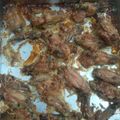 Cooksnap dari Eyva Rahayu untuk resep Parmesan Hot Chicken Wings #keto idea