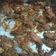 Cooksnap dari Eyva Rahayu untuk resep Parmesan Hot Chicken Wings #keto idea
