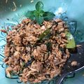 Cooksnap dari Indy Syamsi untuk resep Tuna suwir pedas