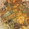 Cooksnap dari Radhika Risti Nur Hanifah untuk resep Lele pedas manis