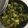 Pratiksha Thakkar's cooksnap of when they made સુકી ભાજી (Sukhi Bhaji Recipe In Gujarati).