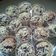 Cooksnap dari Dewi Kartika untuk resep Muffin pisang coklat keju