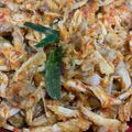 Cooksnap dari Nabila Diadra untuk resep Ayam suwir pedas daun jeruk