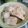 El cooksnap de Mercedes Fernandez Manzano cuando hizo Lomos de bacalao frescoen salsa a la pimienta.