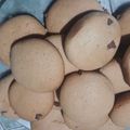 El cooksnap de Guada Rodriguez cuando hizo Galletitas con chips.