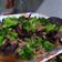 Cooksnap dari Putrina Dilla untuk resep Tumis brokoli daging cincang