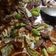 Cooksnap dari aminipriyono@gmail.com untuk resep Tongseng Sengkel Sapi